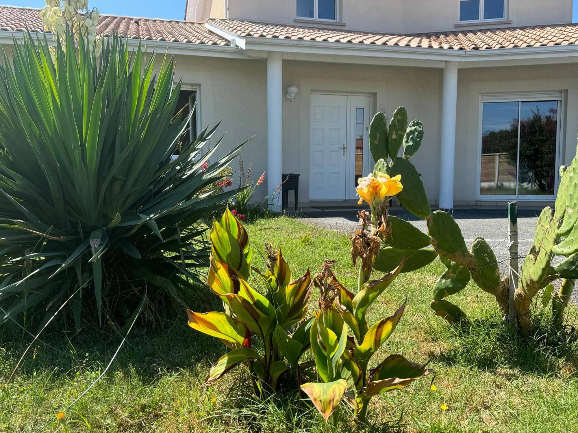 Ode Au Bassin Bed & Breakfast Mios Exterior photo
